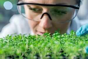 ai gerado Senior cientista examinando plantar variedades dentro laboratório foto