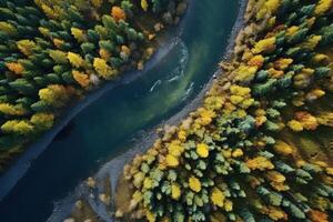 ai gerado a aéreo perspectiva do uma sereno rio fluindo através uma verdejante floresta marquise criada com generativo ai tecnologia foto