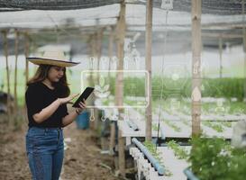 uma agricultora adolescente usa um aplicativo de tablet para controlar o cultivo de vegetais em estufa, fazenda inteligente. foto