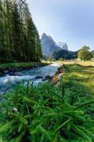 rusenlaui com chifre de poço suíço Alpes e Reichenbach rio fluindo dentro verão em ensolarado dia às Suíça foto