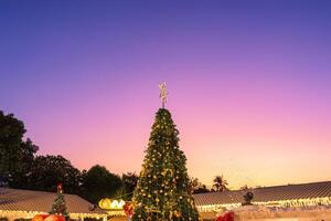 Natal árvore decorado com bola, luz brilhando dentro a pôr do sol às Natal mercado foto