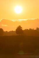 dourado nascer do sol sobre pacífico Vila e árvore em Colina dentro rural cena foto