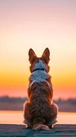 ai gerado costas Visão do uma sentado cachorro contra pôr do sol fundo, fundo imagem, generativo ai foto