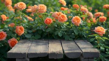 ai gerado de madeira pódio entre rosas plantar, natural beleza pódio pano de fundo para produtos mostrar. foto