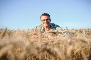 jovem agrônomo dentro grão campo. cereal agricultura foto