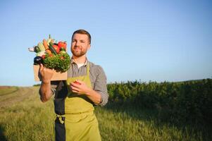masculino agricultor segurando caixa com legumes dentro campo foto