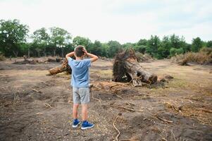 desmatamento uma triste Garoto carrinhos dentro a meio do uma cortar floresta. foto