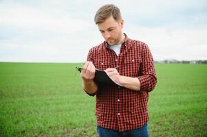 agricultor detém uma colheita do a solo e jovem verde trigo brotos dentro dele mãos verificação a qualidade do a Novo cortar. agrônomo análise a progresso do a Novo semeadura crescimento. agricultura saúde conceito foto