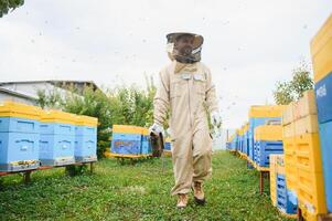 apicultor é trabalhando com abelhas e colmeias em apiário. abelhas em favo de mel. quadros do abelha colmeia. apicultura. mel. saudável Comida. natural produtos. foto
