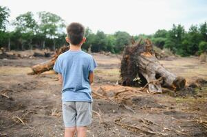 desmatamento uma triste Garoto carrinhos dentro a meio do uma cortar floresta. foto