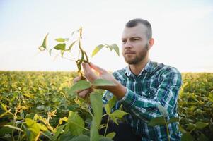 Fazenda trabalhador controles desenvolvimento do soja plantas. agrônomo verificação soja feijão cultivo crescendo dentro a campo foto