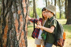 crianças Escoteiros dentro a floresta. foto
