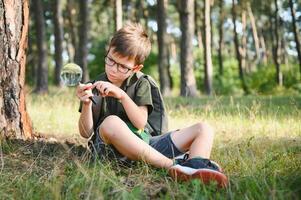 Garoto biólogo ou entomologista estudos natureza. escoteiro dentro a floresta. uma adolescente estudos insetos. biologia. geologia. expedição dentro a floresta foto