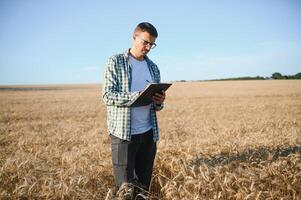 jovem agrônomo dentro grão campo. cereal agricultura foto