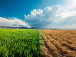 ai gerado planeta girando para seca Campos, conceito ilustrando clima mudança afeta agricultura e terra foto