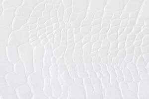 branco crocodilo pele textura textura abstrato padronizar foto