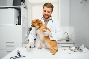 feliz Veterinários examinando cachorro dentro clínica foto