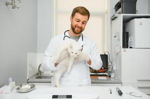 bonito jovem veterinário segurando gato dentro clínica foto