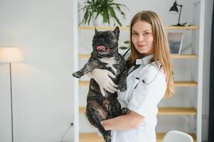 medicamento, animal Cuidado e pessoas conceito - fechar acima do francês buldogue cachorro e veterinário médico mão às veterinario clínica foto