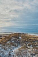 costa e dunas às Vejlby clitóris dentro Dinamarca dentro inverno com neve foto