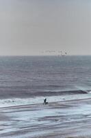 homem caminhando com cachorro às tormentoso mar dentro inverno foto