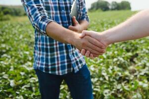 dois agricultores tremendo mãos dentro soja campo dentro cedo verão foto