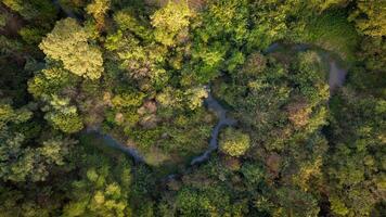 aéreo Visão do a floresta dentro uma tropical rural campo dentro a seco estação foto