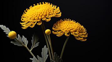 ai gerado amarelo imortela flor ai gerado foto