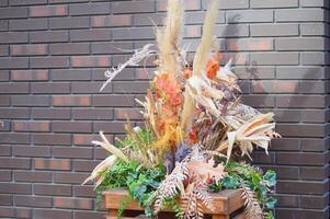 outono rua decoração, composição do seco flores, folhas e cabeças do Relva e cereais em a fundo do uma tijolo muro. foto
