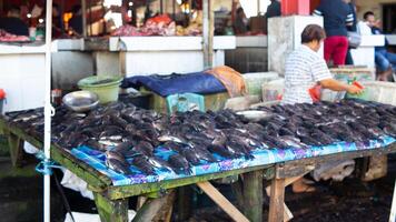 fresco frutos do mar em a peixe mercado foto