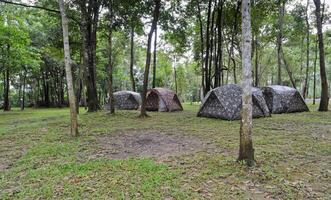 acampamento tendas dentro dipterocarpo floresta, Tailândia foto