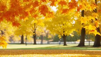 ai gerado lindo outono panorama com amarelo árvores e Sol. colorida folhagem dentro a parque. foto