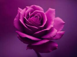 ai gerado suave borrão fundo com rosa. modelo romântico cumprimento cartão com floral foto