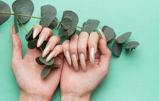 fêmea mãos com manicure e uma ramo do eucalipto foto