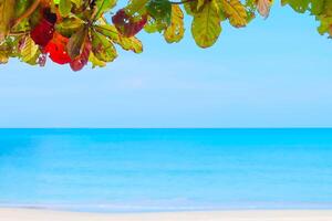 suave foco, tropical de praia e mar colorida folhas com céu foto