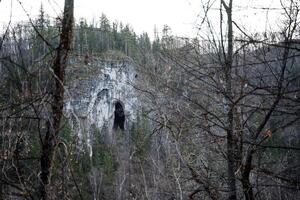 dentro a Rocha lá é a Entrada para uma Sombrio caverna, lá estão muitos árvores em volta, uma sombrio e misterioso montanha panorama. foto