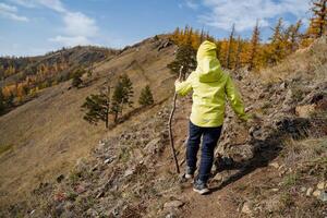 uma pequeno Garoto dentro uma verde Jaqueta caminhando ao longo uma trilha dentro a montanhas, outono escalada montanhas, uma andar dentro a parque dentro a fresco ar, uma Garoto turista, uma jovem alpinista foto