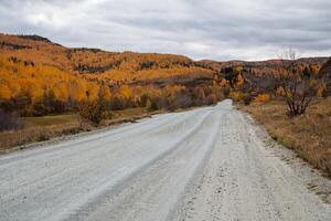 em linha reta asfalto estrada para a montanhas, em ambos lados do a estrada outono dourado floresta. viagem de carro, andar através a outono floresta, limpar \ limpo ar. foto