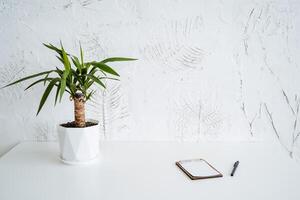 uma pequeno Panela do ficus é em a mesa. uma caderno com em branco folhas e uma caneta mentira lado de lado. minimalista trabalhos escrivaninha. em vaso planta de casa foto