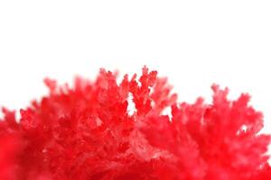 macro imagem vermelho sal cristal em branco fundo. foto