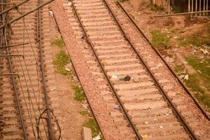 Visão do trem estrada de ferro faixas a partir de a meio durante dia às Kathgodam estrada de ferro estação dentro Índia, brinquedo trem rastrear visualizar, indiano estrada de ferro junção, pesado indústria foto