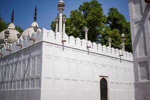 arquitetônico detalhes do lal qila - vermelho forte situado dentro velho Délhi, Índia, Visão dentro Délhi vermelho forte a famoso indiano marcos foto