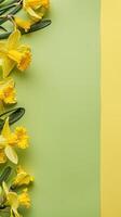 ai gerado amarelo narcisos, conjunto contra a elétrico Lima verde fundo, incorporando a essência do primavera flor e floral beleza. amplo cópia de espaço forneceu para Mensagens. foto