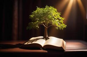 ai gerado internacional dia do poetas e escritoras, mundo livro e direito autoral dia, Magia livro, verde árvore crescendo a partir de a aberto livro, Sombrio fundo, Sol raios foto