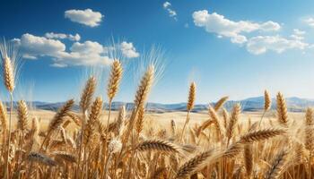 ai gerado dourado trigo Campos debaixo a verão sol, natureza generoso colheita gerado de ai foto