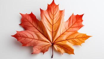 ai gerado outono vibrante cores amarelo, laranja, e multi colori folhas queda gerado de ai foto