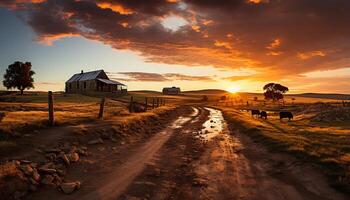 ai gerado tranquilo pôr do sol sobre rural fazenda, vacas pastar dentro Prado gerado de ai foto