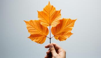 ai gerado mão segurando vibrante outono folha, símbolo do natureza beleza gerado de ai foto