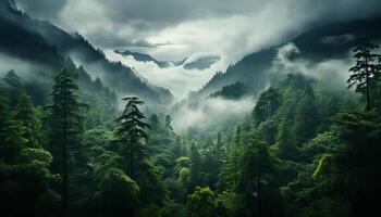 ai gerado majestoso montanha pico, nebuloso floresta, tranquilo Prado, misterioso beleza gerado de ai foto