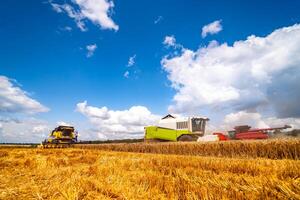 combinar colheita maduro dourado trigo dentro a campo. a imagem do a agrícola indústria. foto